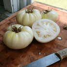 Great White Tomato – 30 Seeds seed packet from Seed Therapy – American - grown, heirloom seeds
