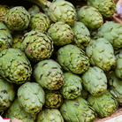 Green Globe Artichoke – 25 Seeds seed packet from Seed Therapy – American - grown, heirloom seeds