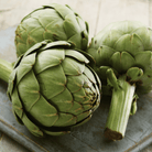 Green Globe Artichoke – 25 Seeds seed packet from Seed Therapy – American - grown, heirloom seeds