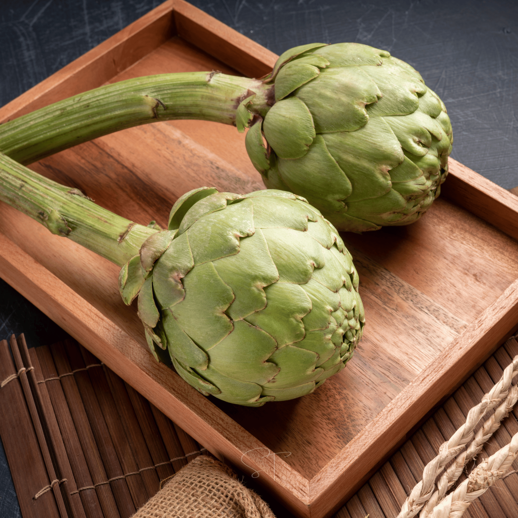 Green Globe Artichoke – 25 Seeds seed packet from Seed Therapy – American - grown, heirloom seeds