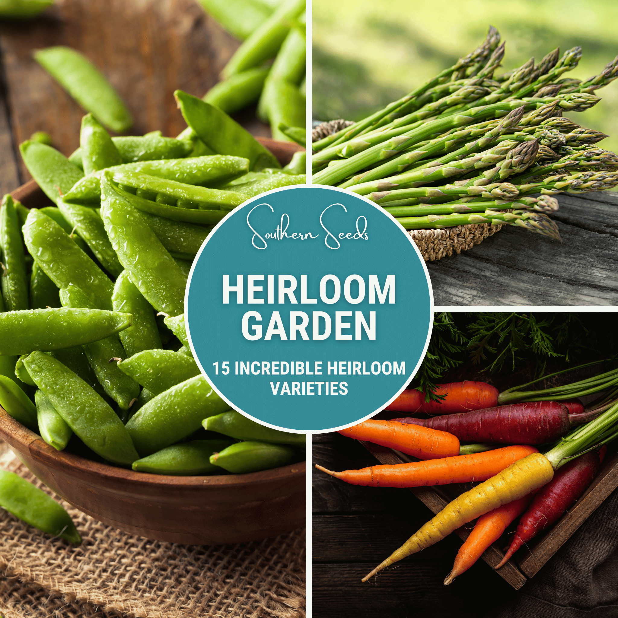 heirloom vegetable seeds and plants Heirloom Vegetable Seed Collection – 15 Varieties