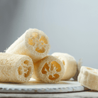 Luffa Gourd – 20 Seeds seed packet from Seed Therapy – American - grown, heirloom seeds