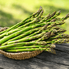 Mary Washington Asparagus – 50 Seeds seed packet from Seed Therapy – American - grown, heirloom seeds