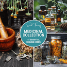 Medicinal Herb Seed Collection – 15 Varieties seed packet from Seed Therapy – American - grown, heirloom seeds