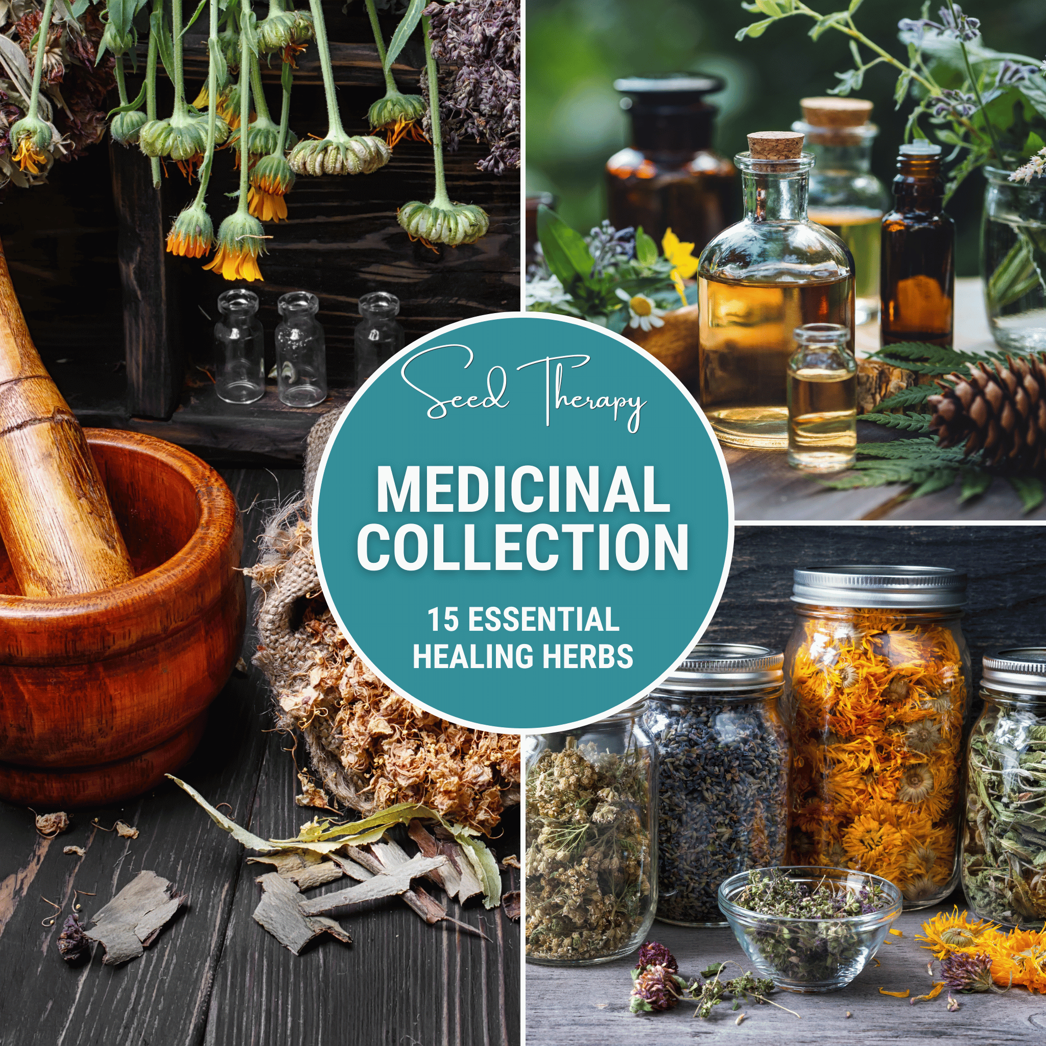 Medicinal Herb Seed Collection – 15 Varieties seed packet from Seed Therapy – American - grown, heirloom seeds