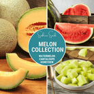 Melon Seed Collection (Watermelon • Cantaloupe • Honeydew) | Seed Therapy – Heirloom Garden Seeds
