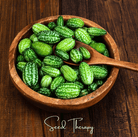 Mouse Melon (Melothria scabra) - 10 Seeds seed packet from Seed Therapy – American - grown, heirloom seeds