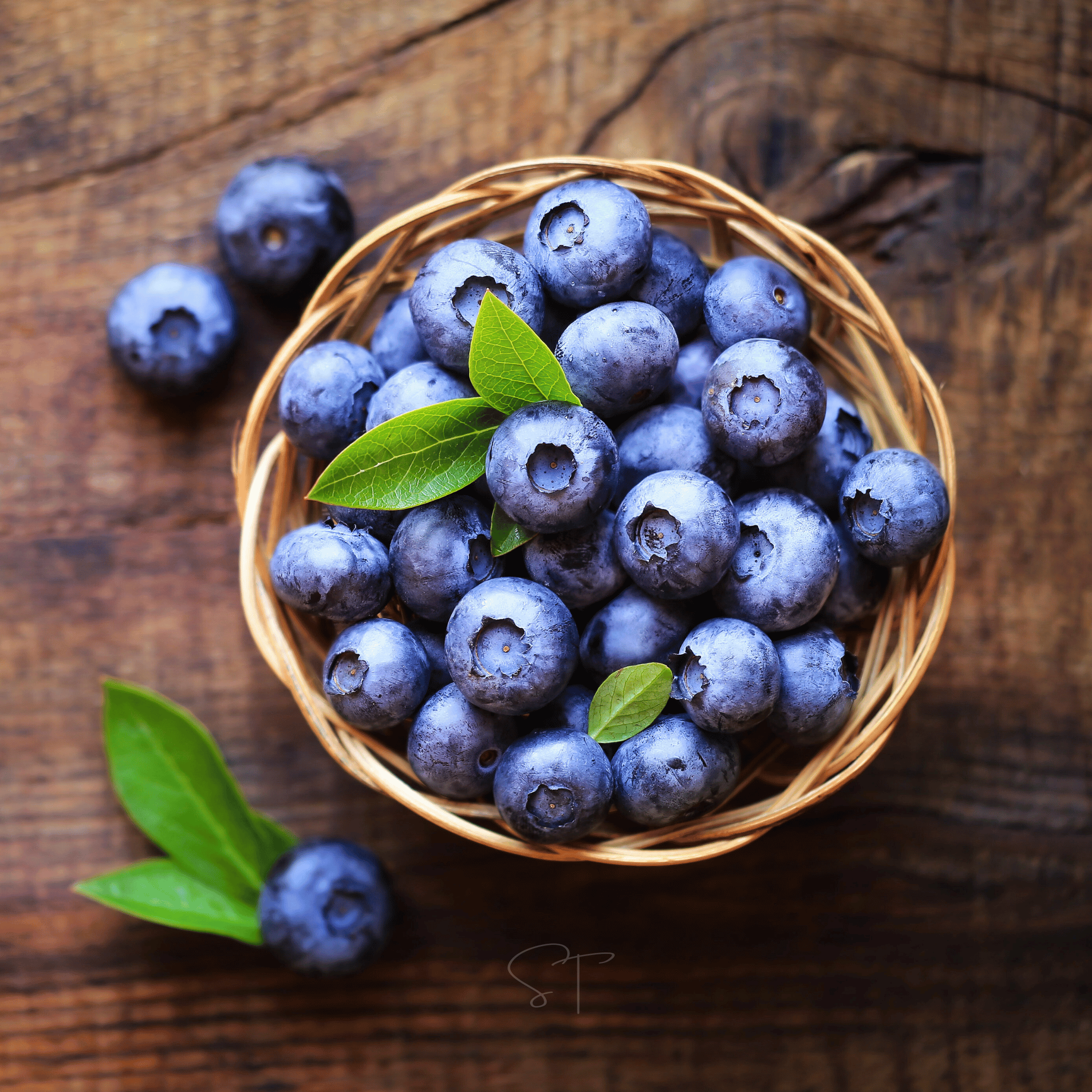 Northern Highbush Blueberry – 50 Seeds seed packet from Seed Therapy – American - grown, heirloom seeds