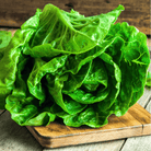 Parris Island Cos Lettuce – 500 Seeds seed packet from Seed Therapy – American - grown, heirloom seeds