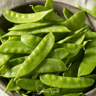 Peas, Snow, Oregon Sugar II (Pisum sativum) - 25 Seeds | Seed Therapy – Heirloom Garden Seeds
