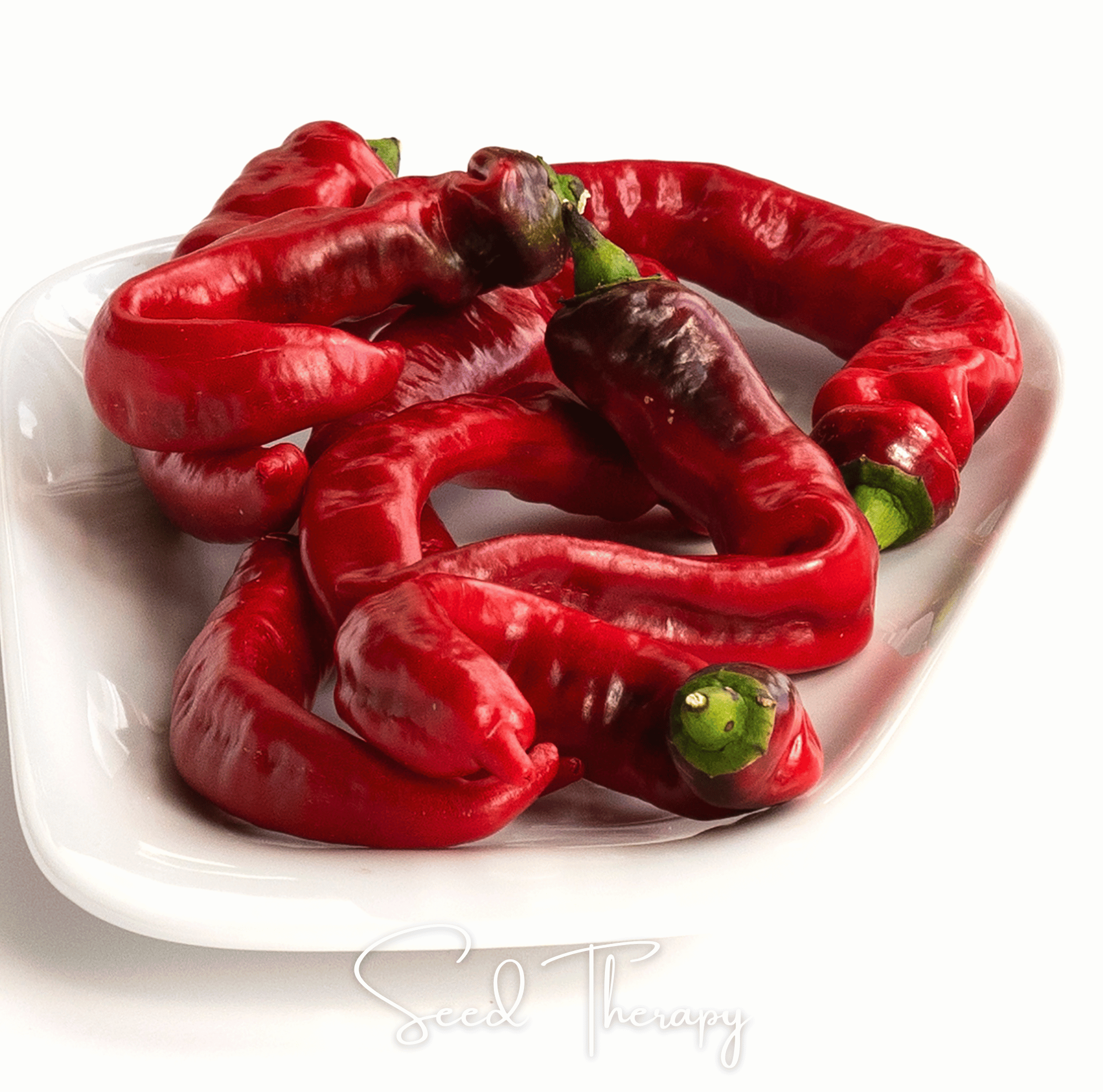 Pepper, Jimmy Nardello's (Capsicum annuum) - 25 Seeds seed packet from Seed Therapy – American - grown, heirloom seeds
