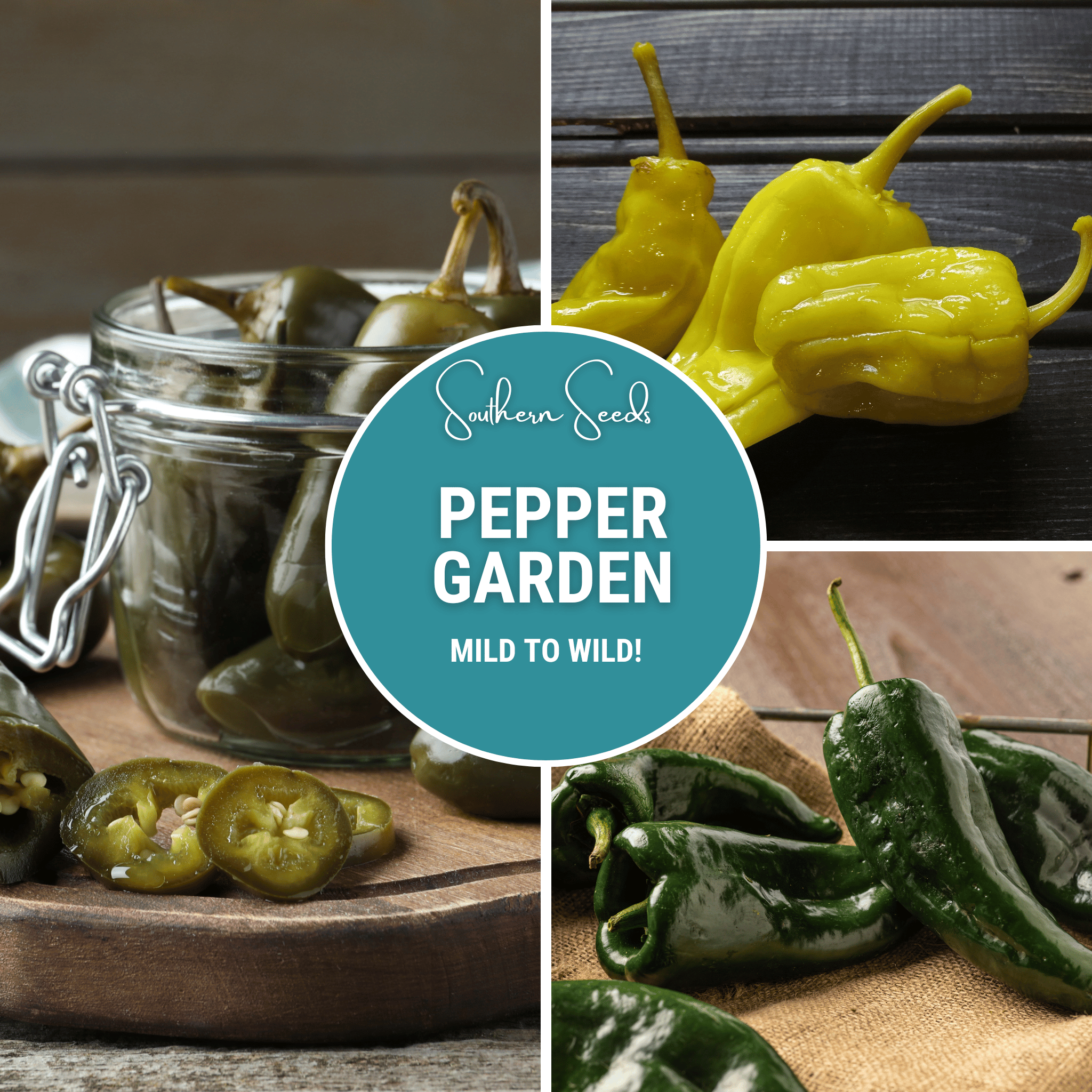 pepper seeds for planting Pepper Seed Collection – 6 Essential Heirloom Peppers