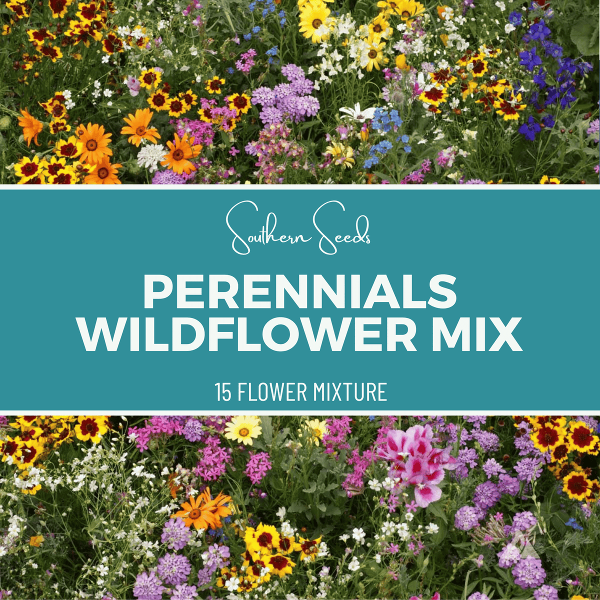 Perennial Wildflower Seed Mix - 15 Variety Mix - 1,000 Seeds - Seed ...