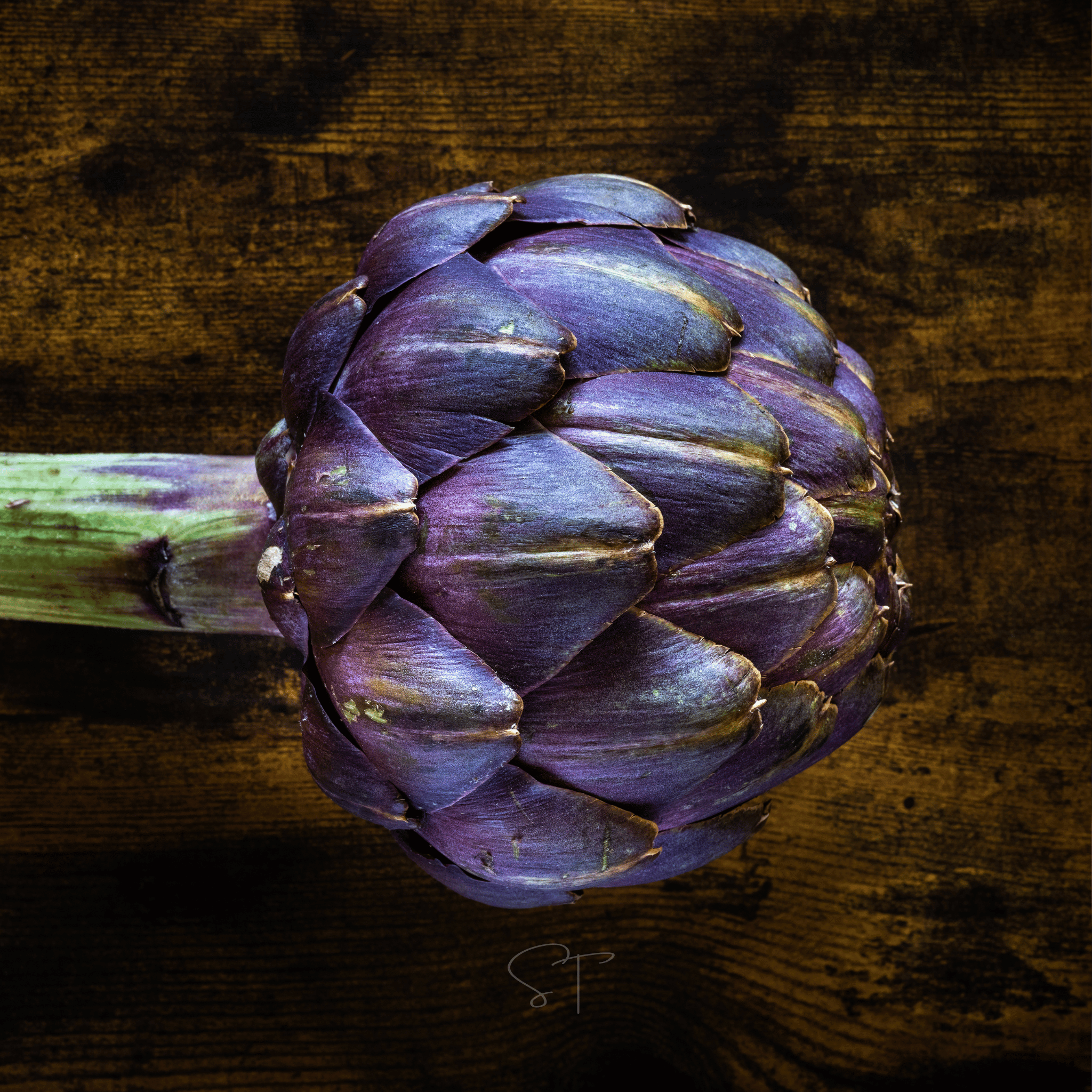 Mountain Valley Seed Company Artichoke Seeds - Purple Romagna - 0.25 oz ~157 Seeds - Cynara scolymus - Farm & Garden Vegetable Seeds - Non-GMO,
