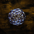 Purple Romagna Artichoke – 25 Seeds seed packet from Seed Therapy – American - grown, heirloom seeds