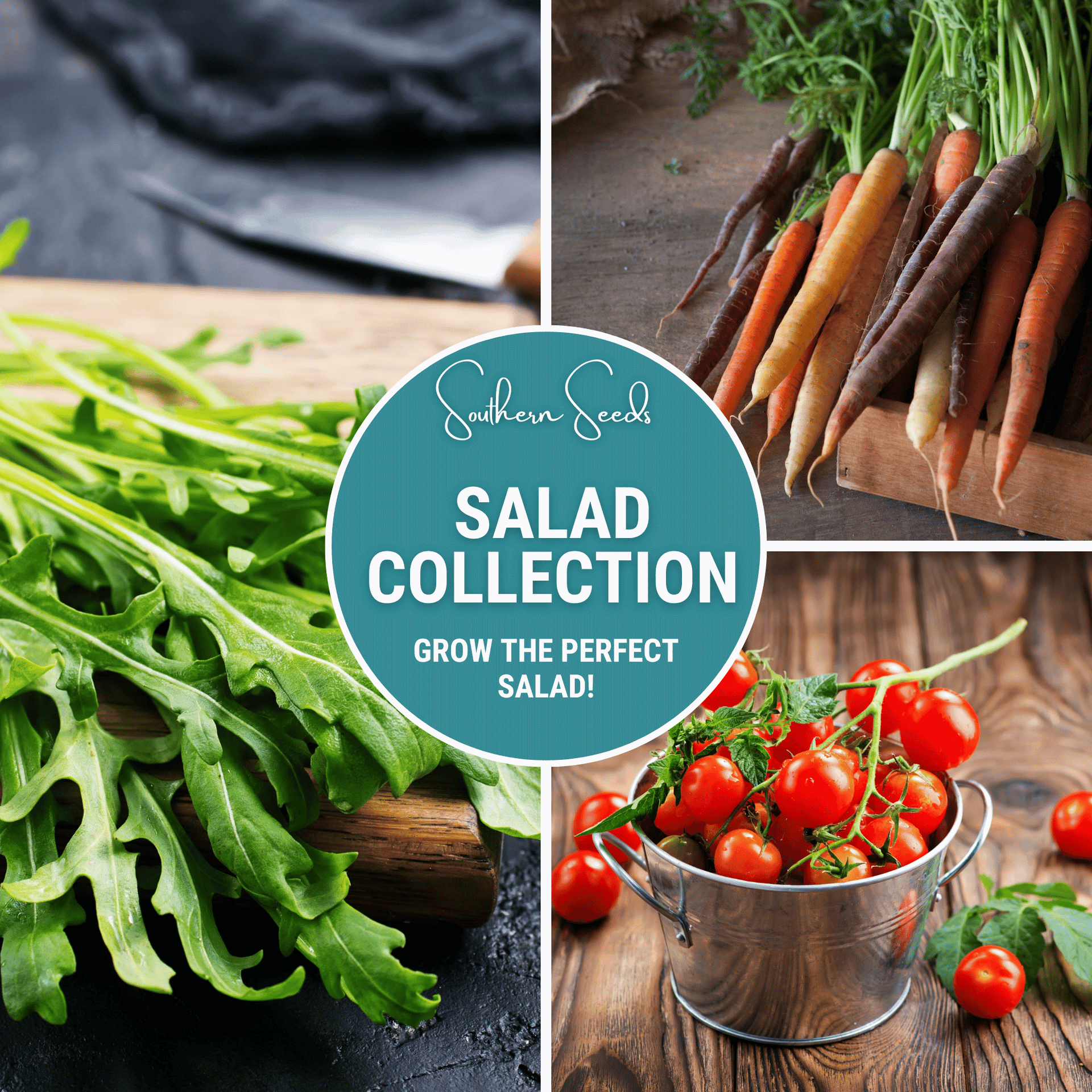 plant salad seeds Salad Seed Collection – 6 Varieties