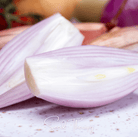 Shallot, Zebrune (Allium cepa) - 25 Seeds seed packet from Seed Therapy – American - grown, heirloom seeds