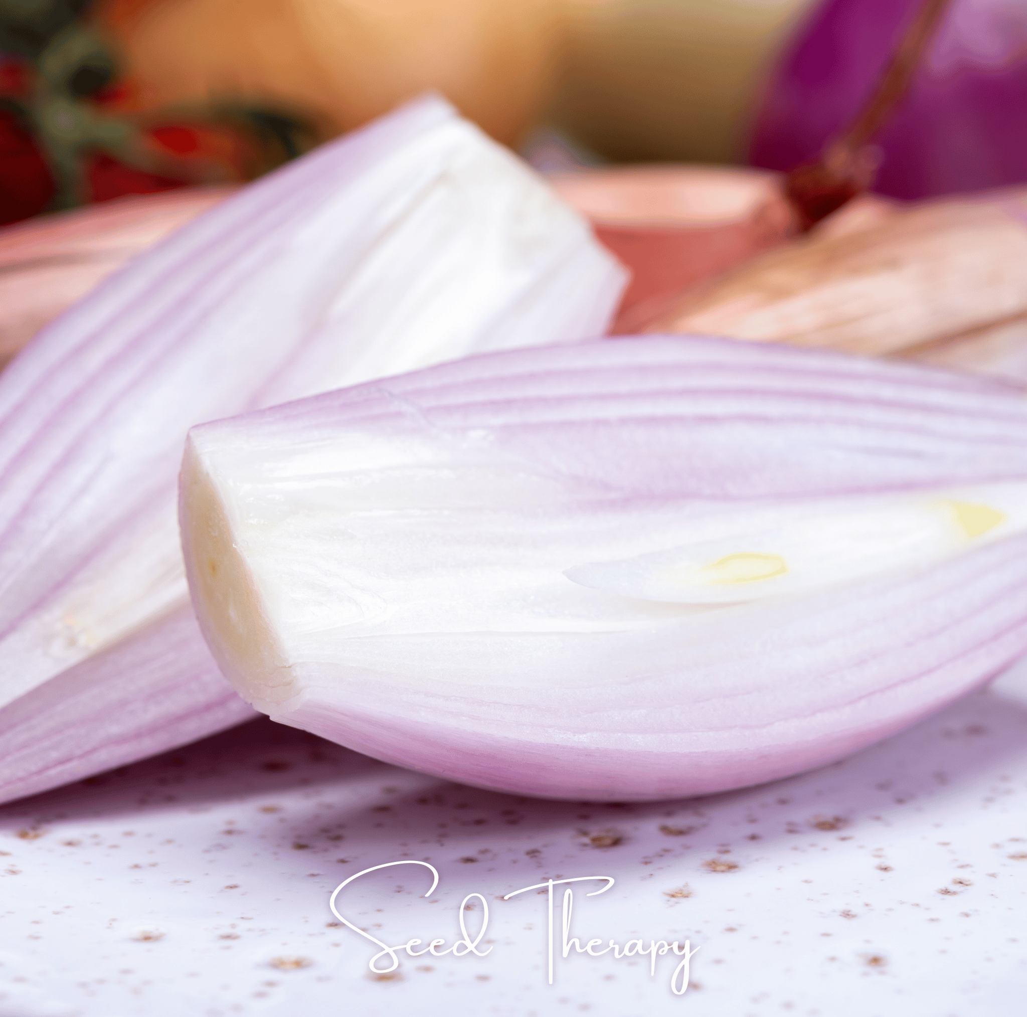 Shallot, Zebrune (Allium cepa) - 25 Seeds seed packet from Seed Therapy – American - grown, heirloom seeds
