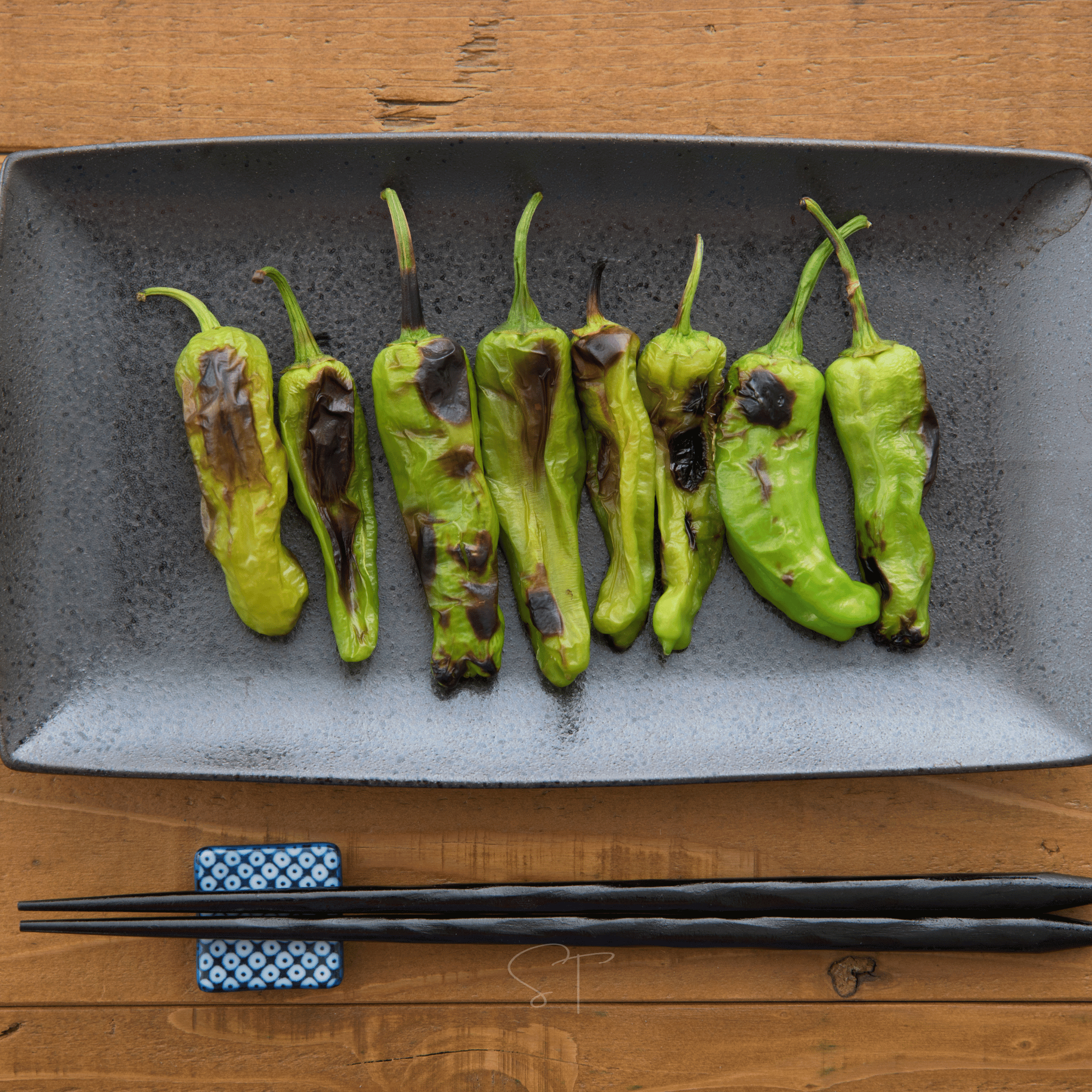 Shishito Pepper – 25 Seeds seed packet from Seed Therapy – American - grown, heirloom seeds