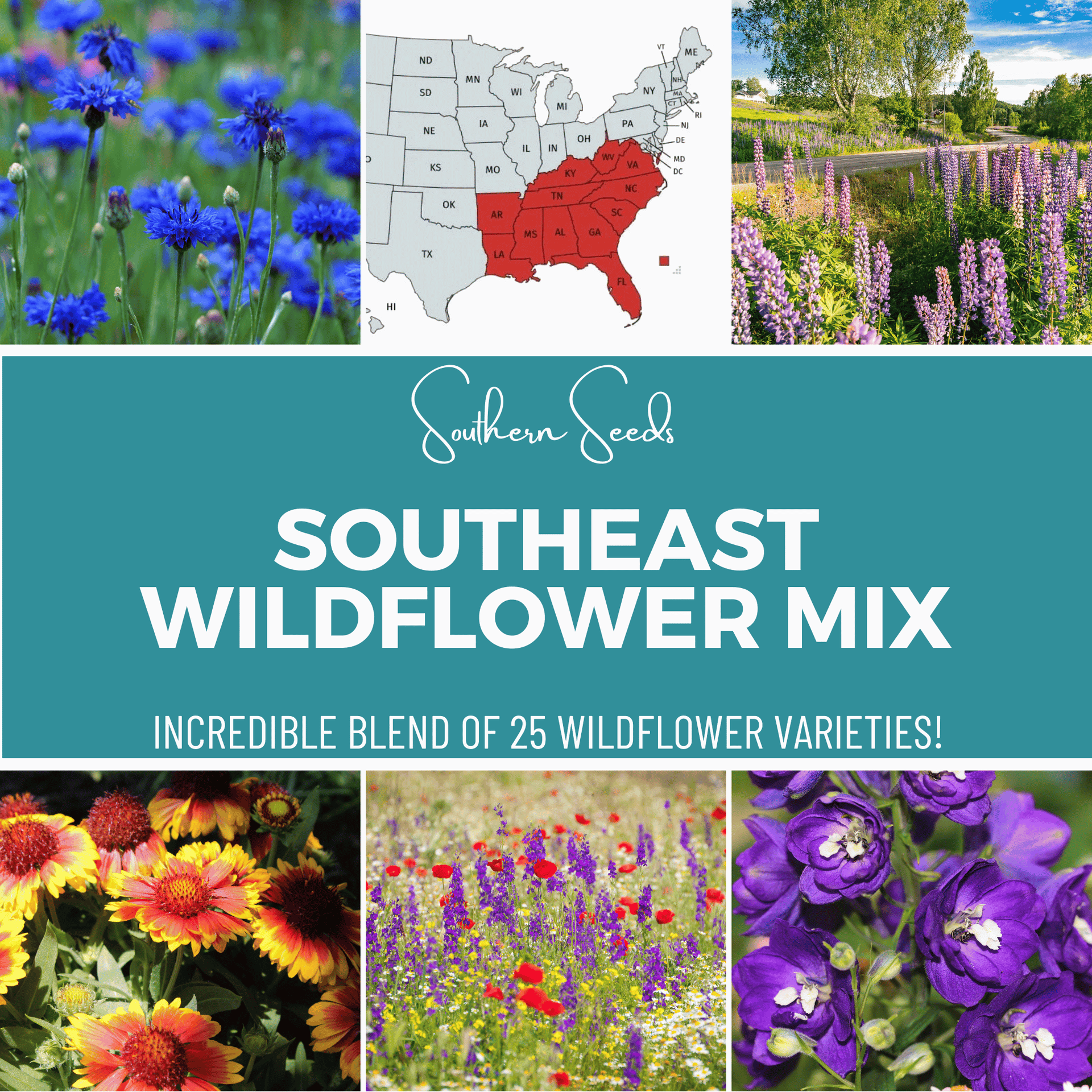 south carolina wildflower seeds Southeast Wildflower Seed Mix - 24 Flower Varieties - 1,000 Seeds