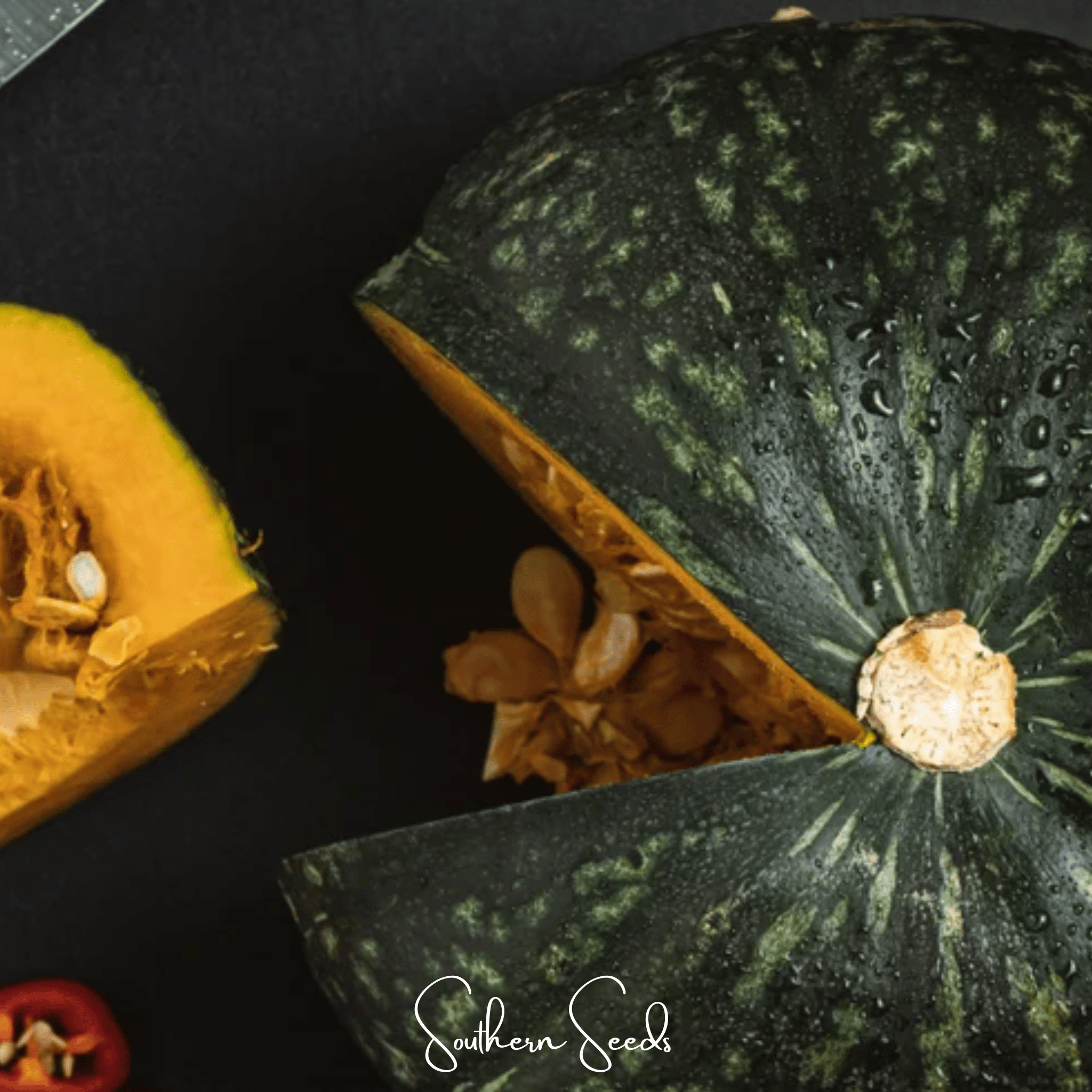 plant kabocha squash seeds Black Forest Kabocha Squash – 10 Seeds