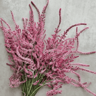 Statice Pink Pokers – 50 Seeds seed packet from Seed Therapy – American - grown, heirloom seeds