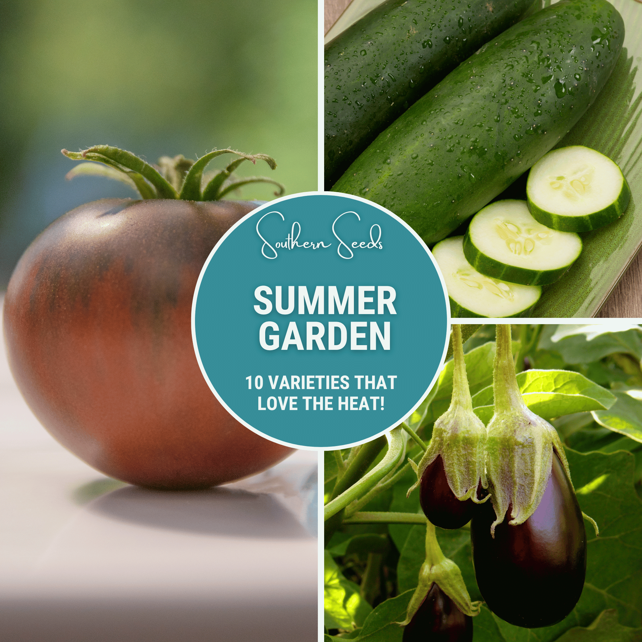 summer garden seeds Summer Garden Seed Collection – 10 Heat Loving Varieties