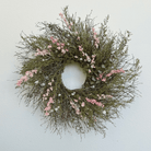 Sweet Annie – 50 Seeds seed packet from Seed Therapy – American - grown, heirloom seeds