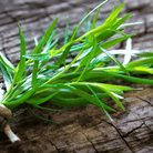 Tarragon – 300 Seeds seed packet from Seed Therapy – American - grown, heirloom seeds