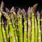 UC72 Asparagus – 50 Seeds seed packet from Seed Therapy – American - grown, heirloom seeds