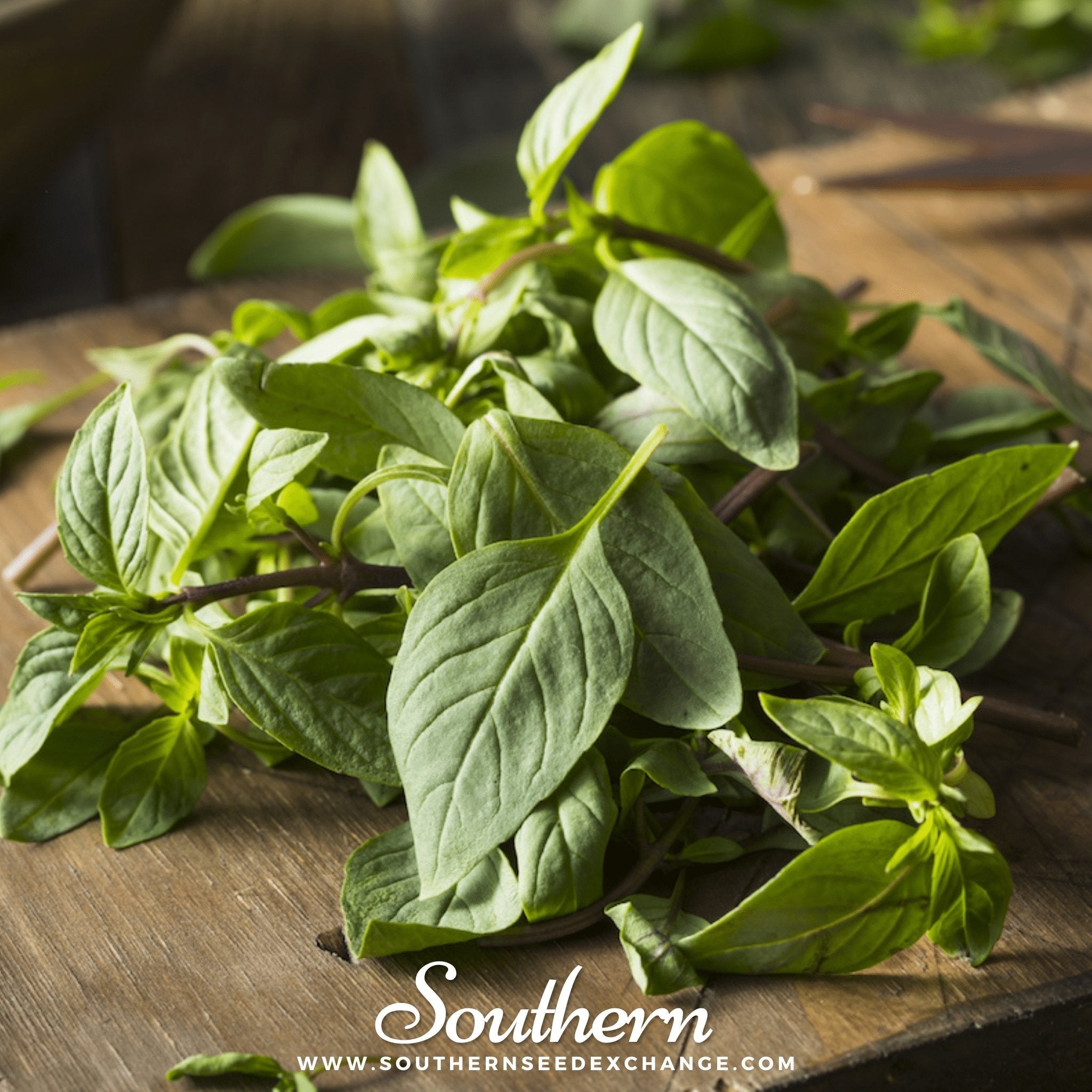 Basil, Thai Siam Queen (Ocimum basilicum) - 250 Seeds
