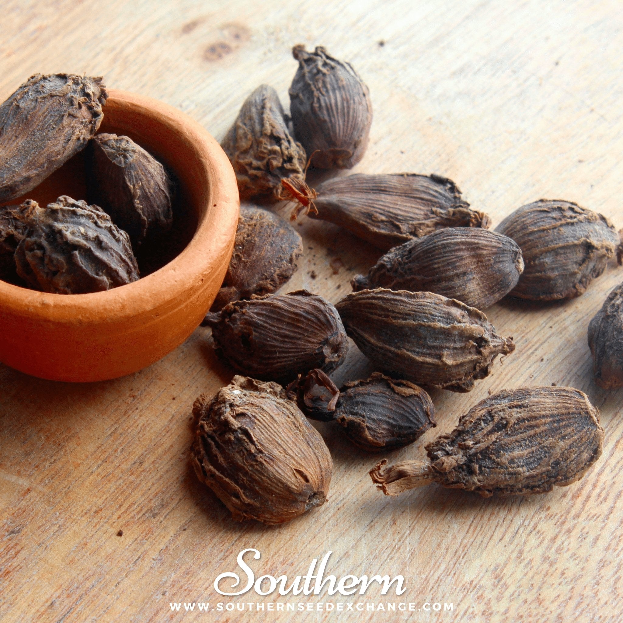 where to buy cardamom seeds for planting Black Cardamom – 10 Seeds