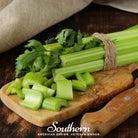 Celery, Tendercrips (Apium graveolens) - 300 Seeds | Seed Therapy – Heirloom Garden Seeds