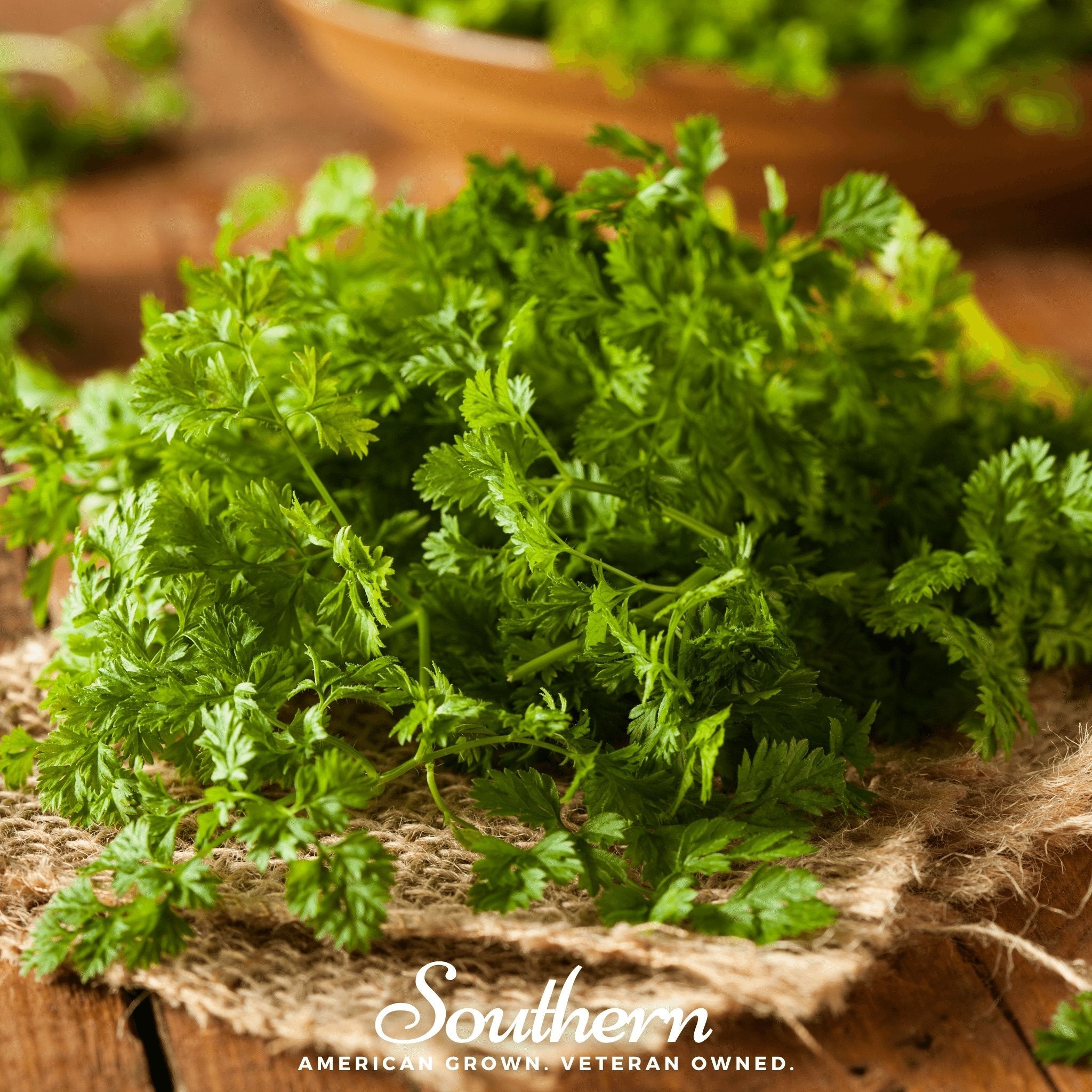 planting chervil seeds Curled Chervil – 200 Seeds