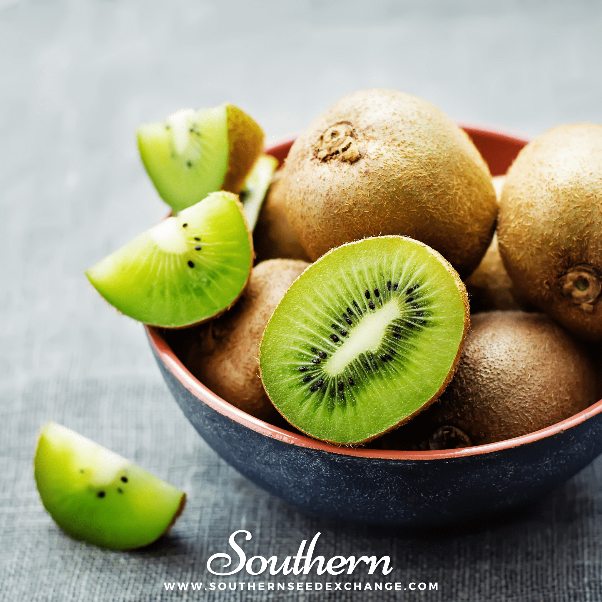 Kiwi Fruit (Actinidia chinensis) - 100 Seeds - Seed Therapy