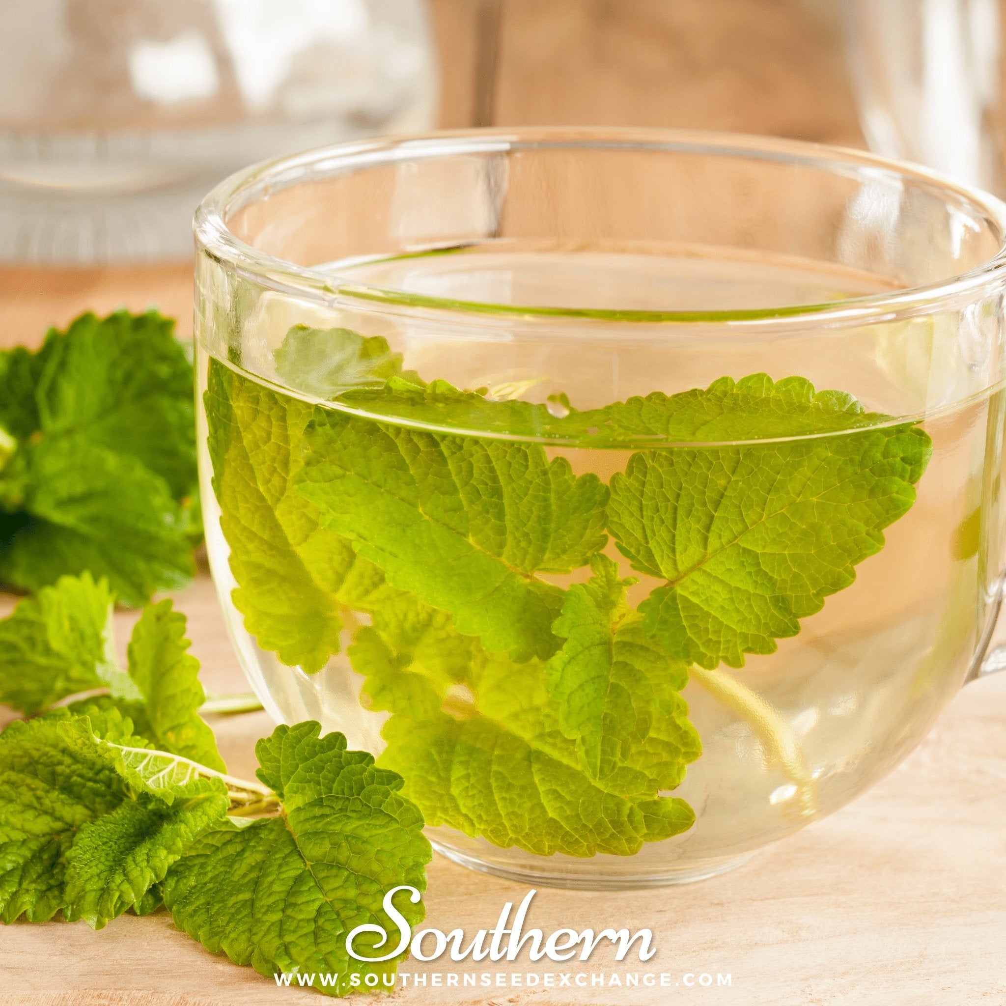 Seed Therapy Lemon Balm - Thumbnail 2