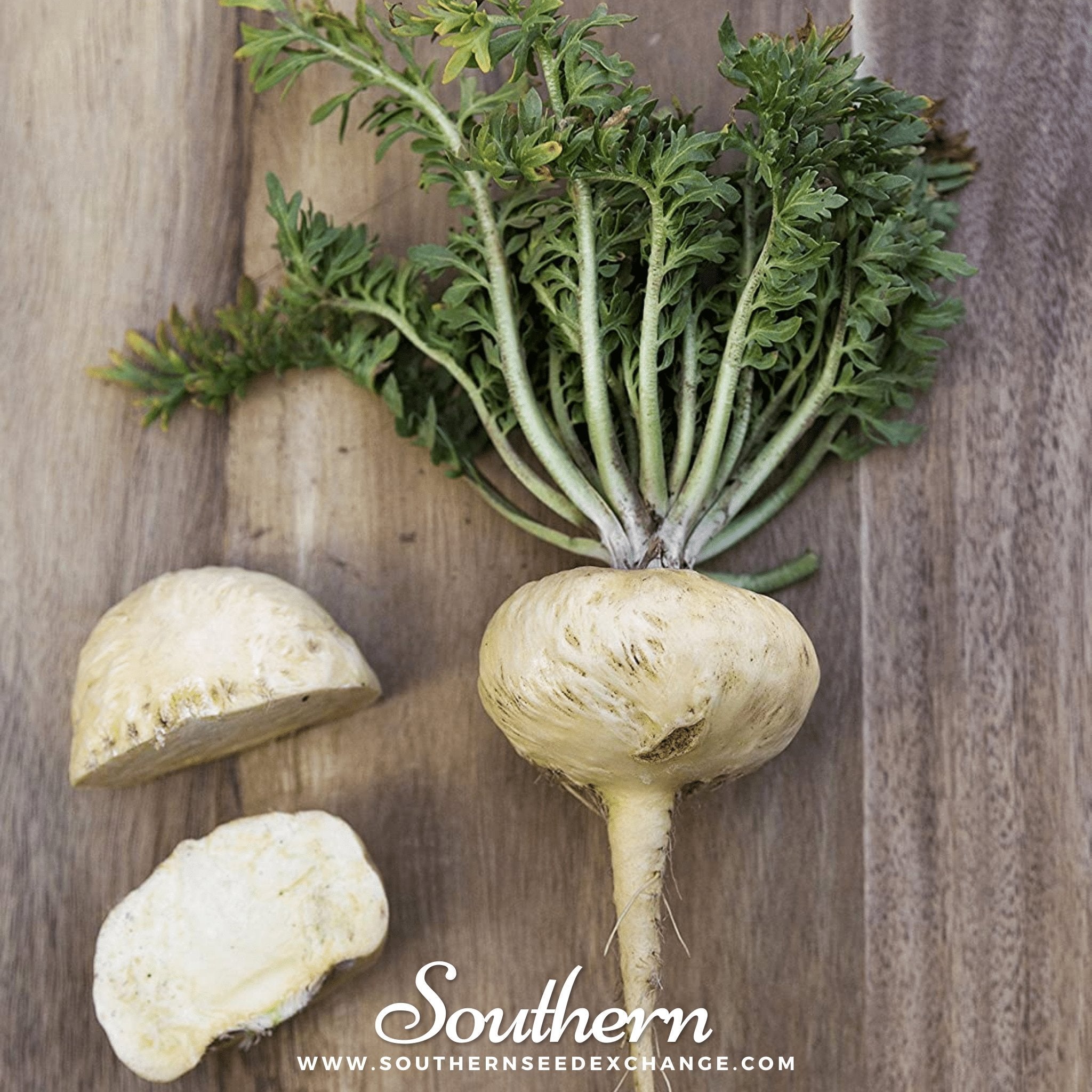 maca root plant seeds Maca – 25 Seeds