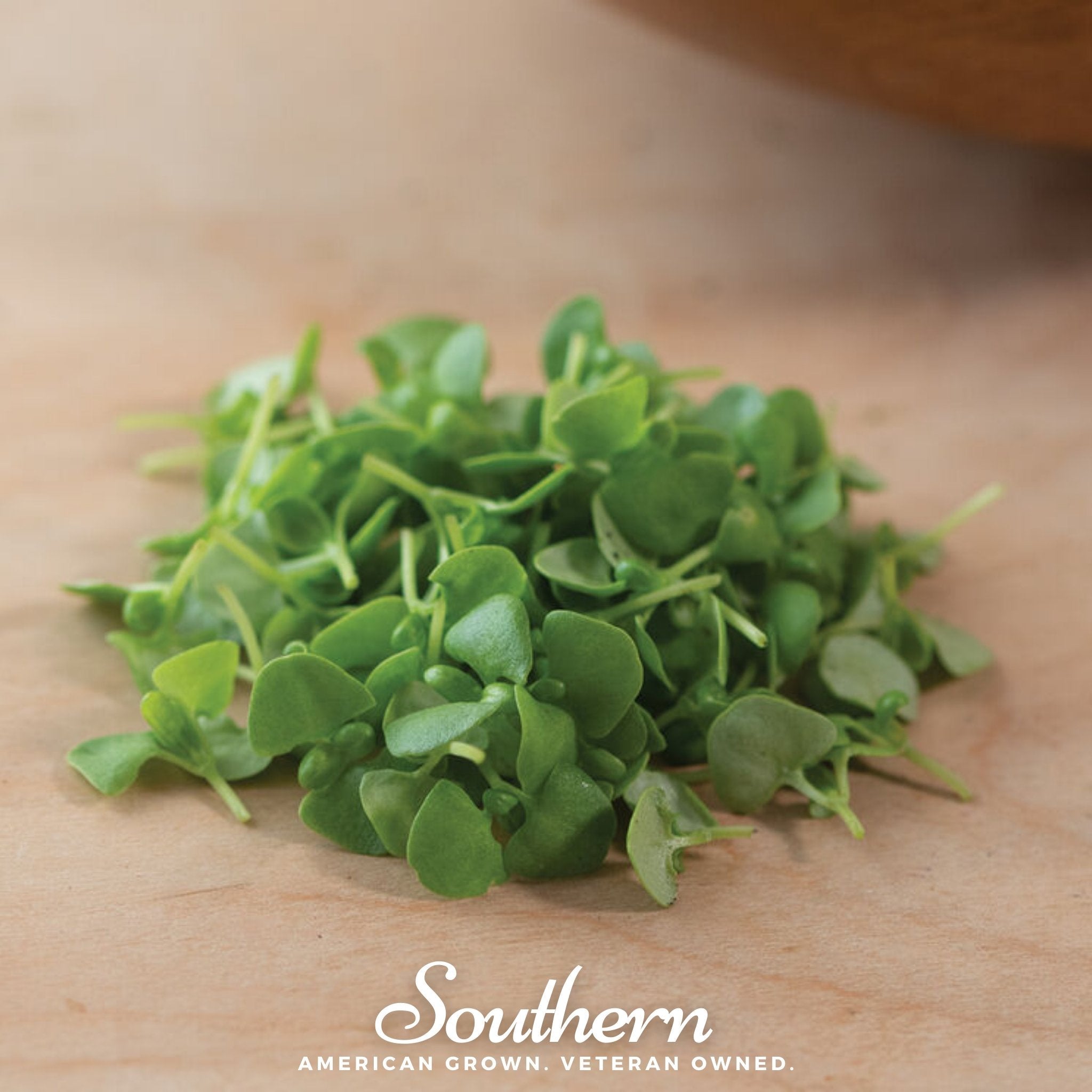Microgreen, Basil Genovese (Ocimum basilicum) - 8 grams - Seed