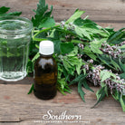 Motherwort (Leonurus Cardiaca) - 50 Seeds | Seed Therapy – Heirloom Garden Seeds