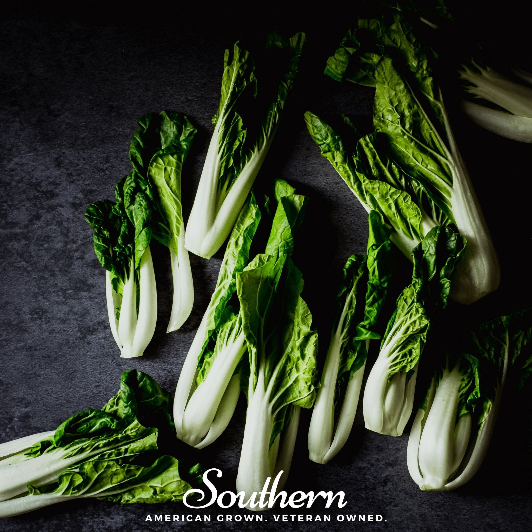 むぎむきソイ Pak Choi, Canton - Bok Choy (Brassica rapa) - 200 Seeds - Seed