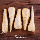 Parsnip, Harris Model (Pastinaca sativa) - 100 Seeds | Seed Therapy – Heirloom Garden Seeds