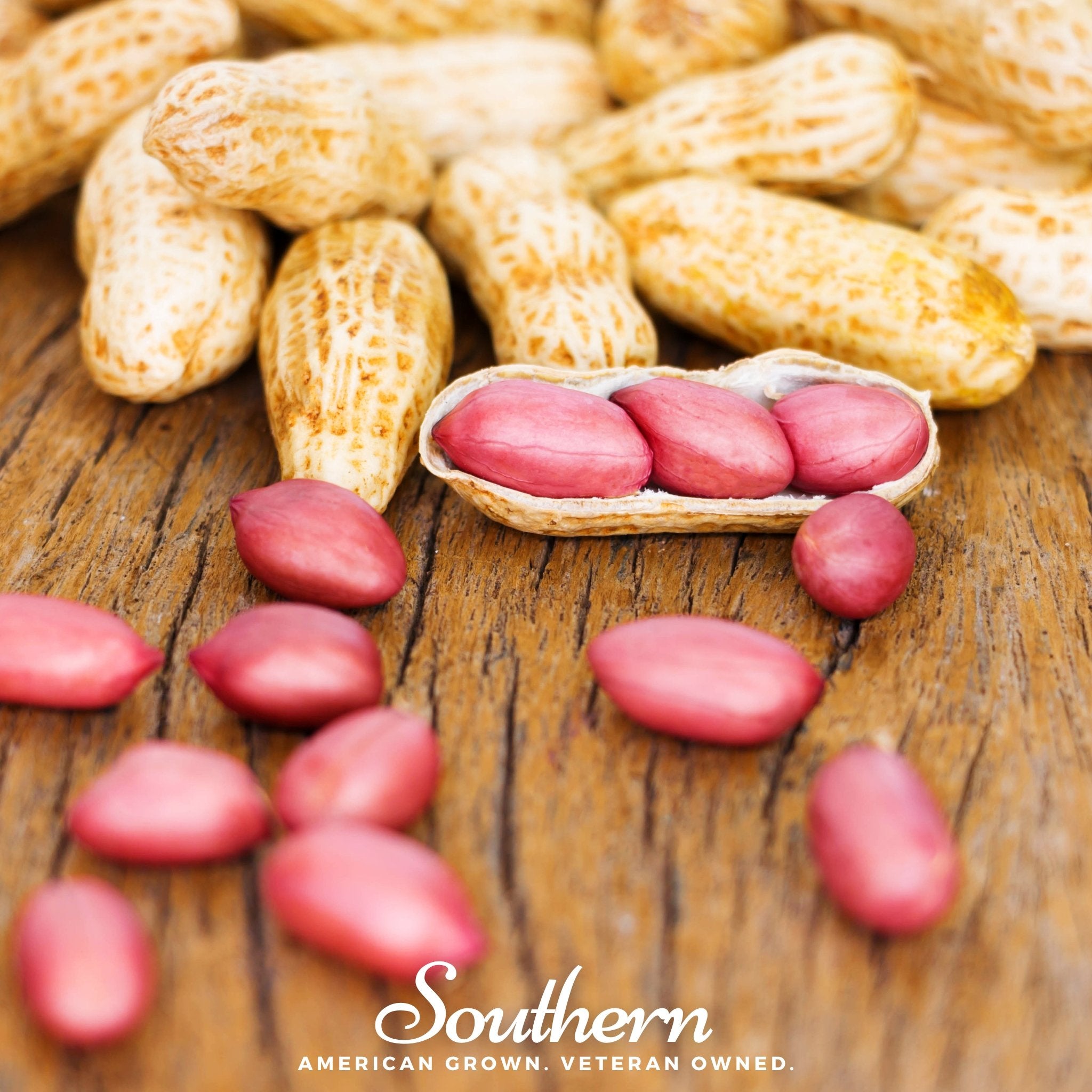 Peanuts, Tennessee Red (Arachis hypogaea) - 10 Seeds - Seed