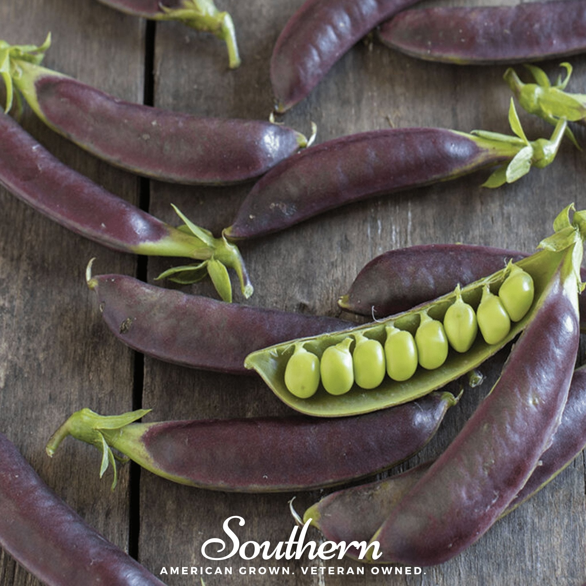 seeds of pea plant Peas, Royal Snap II (Pisum sativum) - 20 Seeds