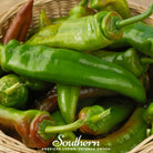 Pepper, Anaheim Chili (Capsicum annuum) - 25 Seeds | Seed Therapy – Heirloom Garden Seeds