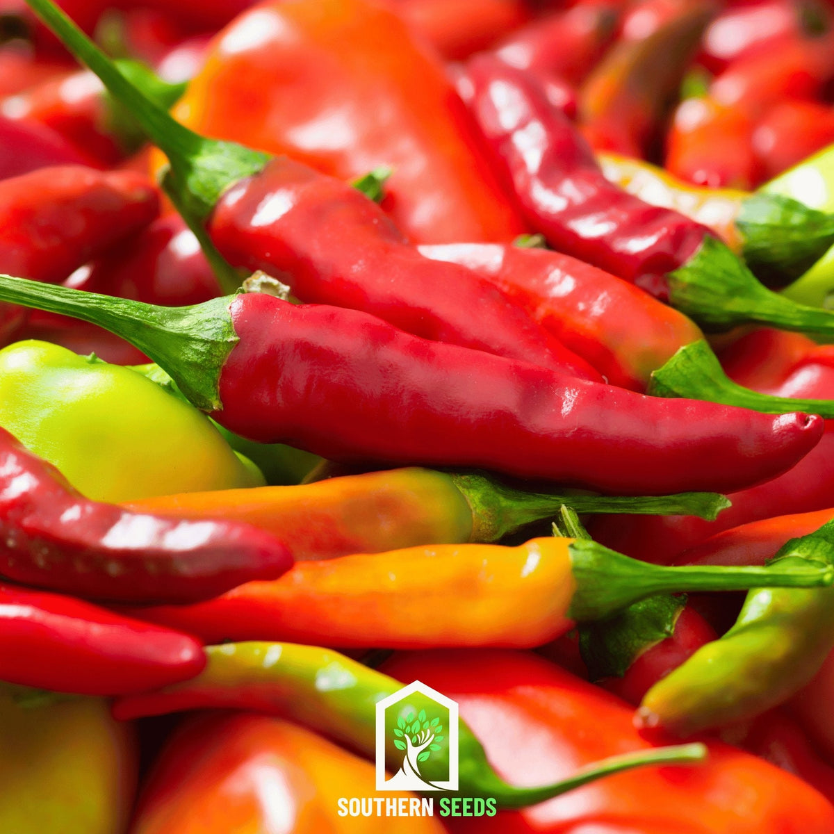 Pepper Seed Collection - 6 Essential Heirloom Peppers - Seed Therapy ...
