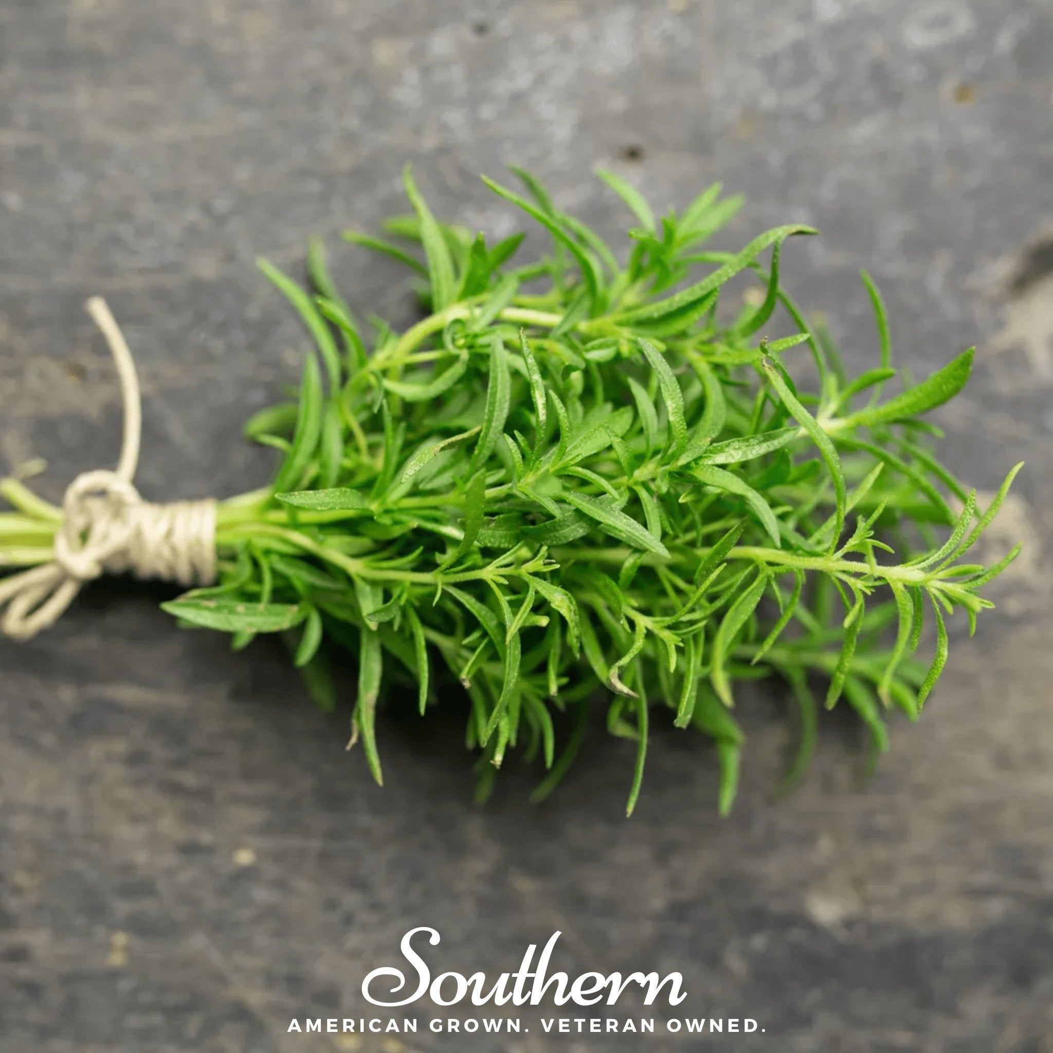 seeds to plant for winter Savory, Winter (Satureja montana) - 100 Seeds