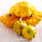 Squash, Scallop Yellow Bush - Summer (Cucurbita pepo) - 25 seeds | Seed Therapy – Heirloom Garden Seeds