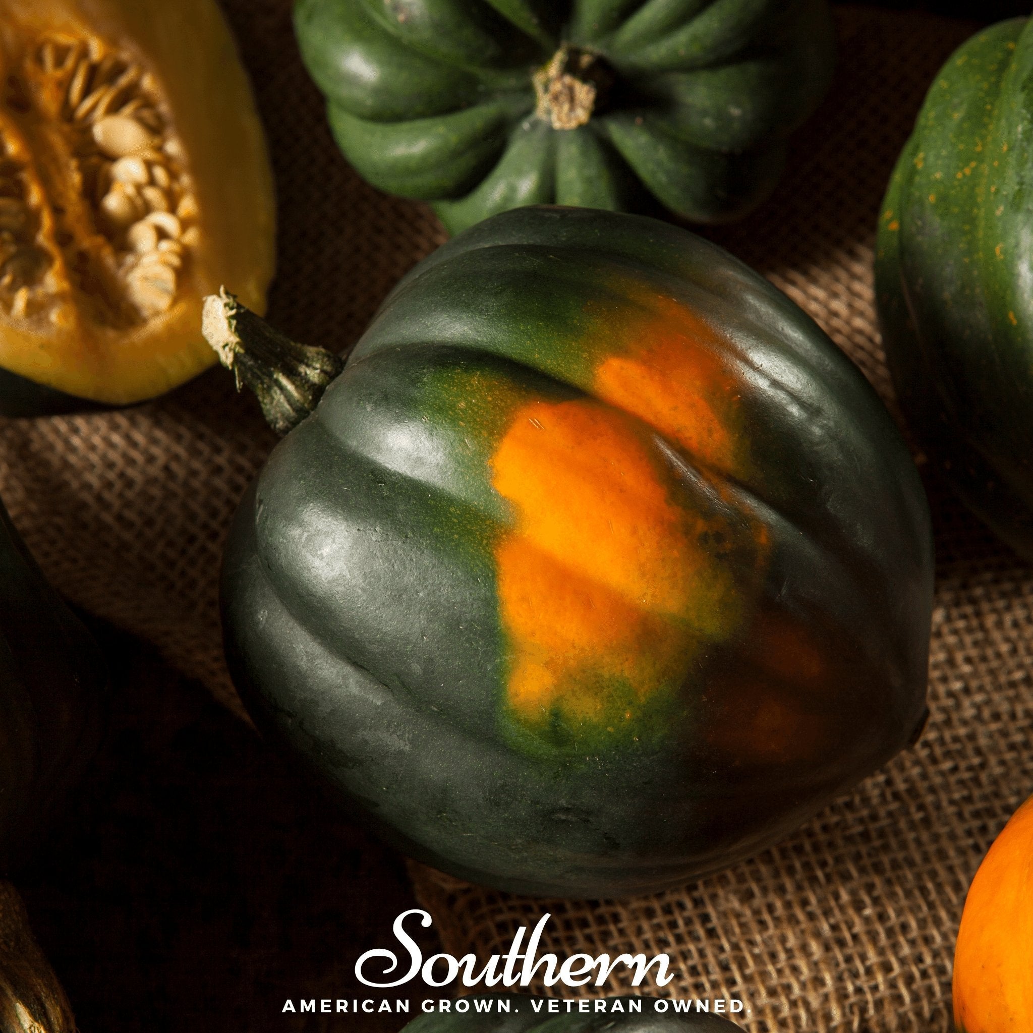Squash, Table Queen Acorn - Winter (Cucurbita pepo) - 25 Seeds | Seed Therapy – Heirloom Garden Seeds