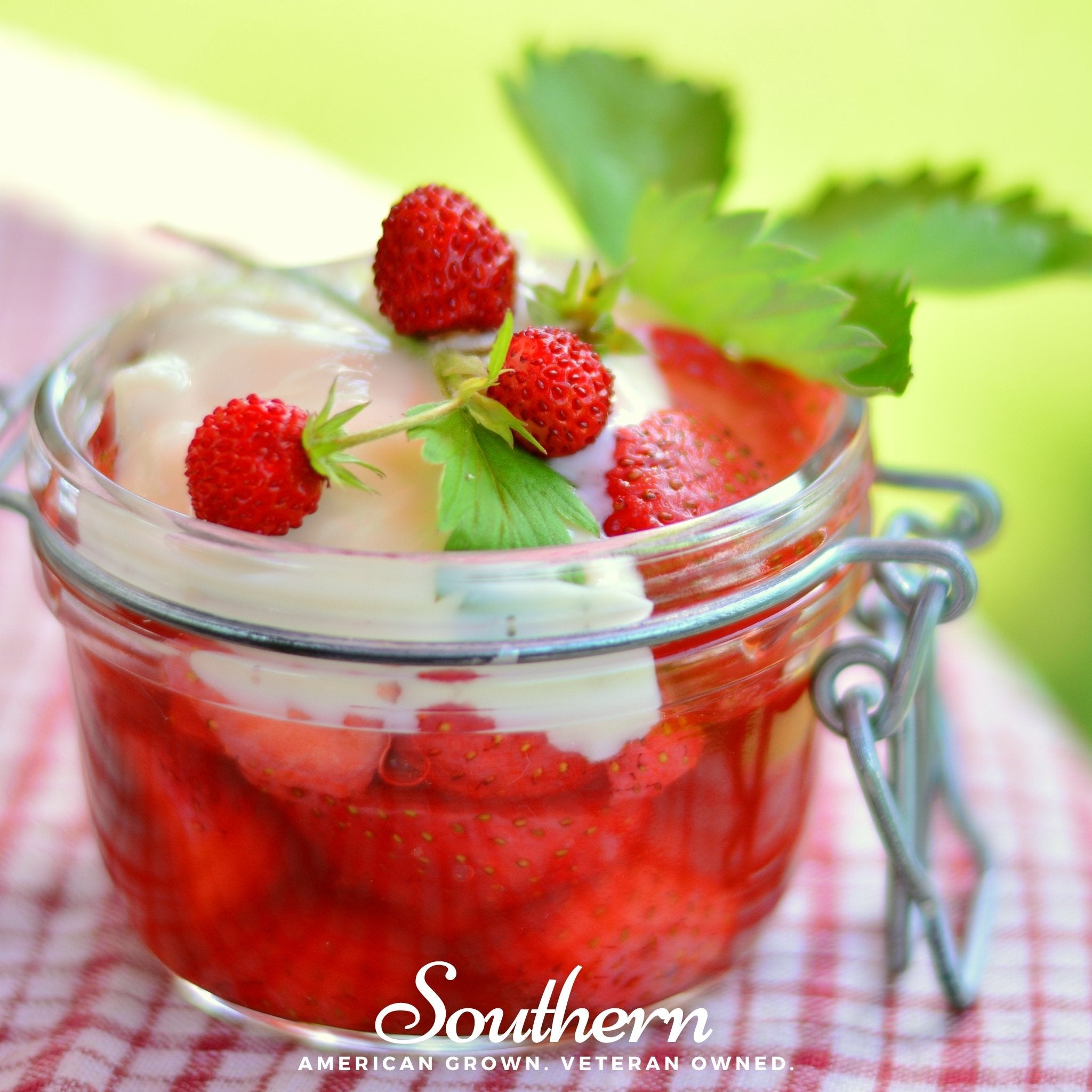 Strawberry, Wild Red (Fragaria vesca) - 200 Seeds - Seed Therapy