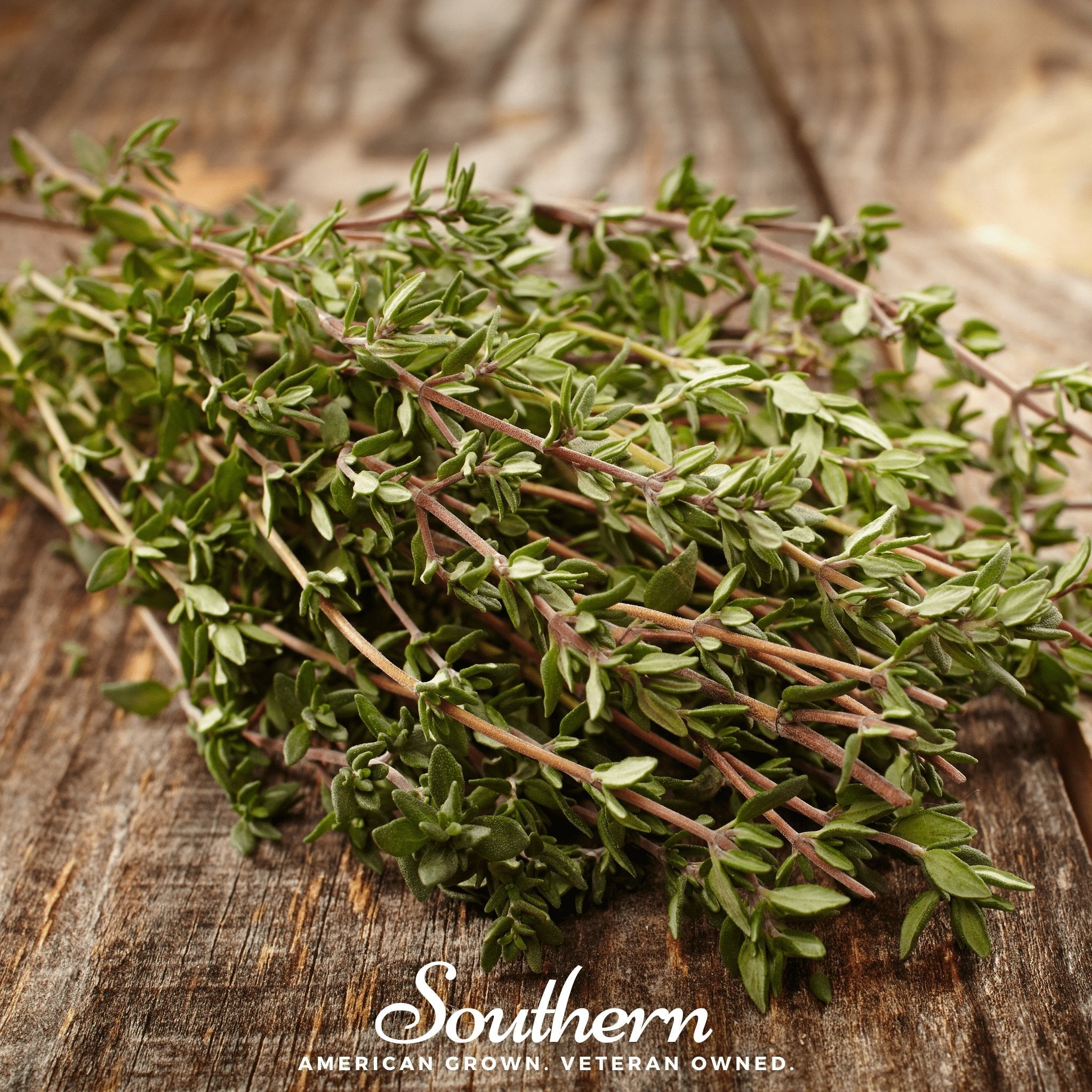 Thyme Seeds & More – Heirloom Varieties | Seed Therapy – Southern